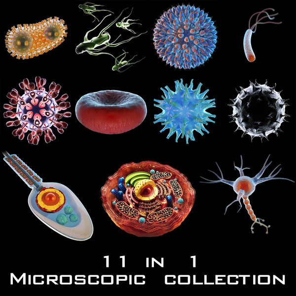 bacterium x - Bacterium Blue by Stubborn3D